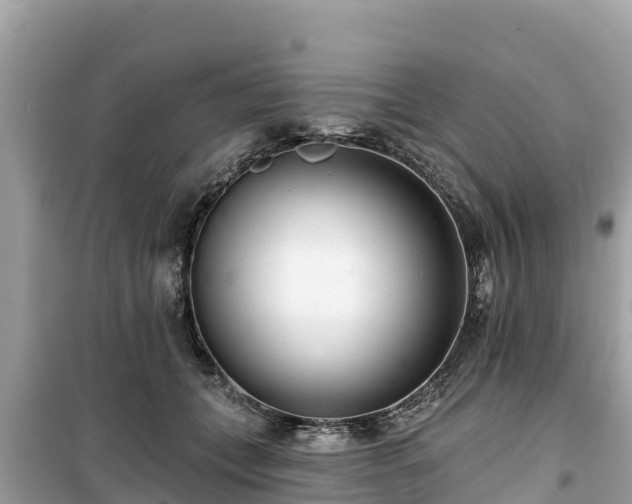 X0000099520559200805221446