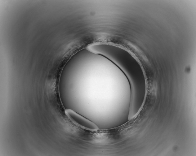 X0000099520560200805221446