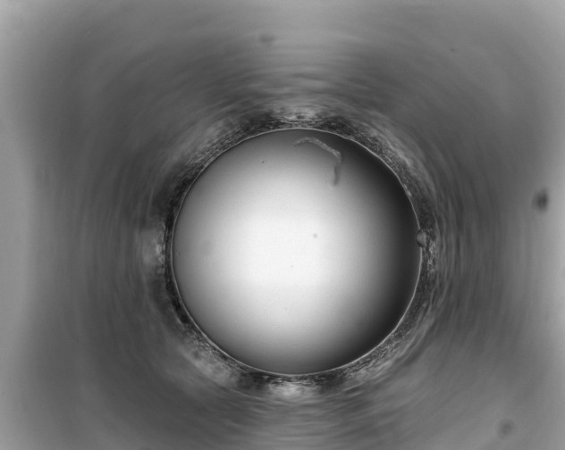 X0000099520561200805221446