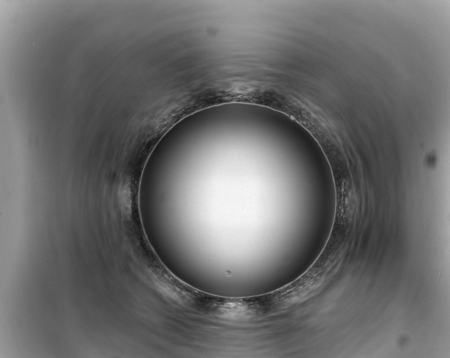 X0000099520562200805221446