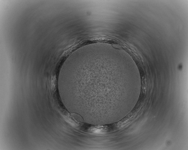 X0000099520563200805221446