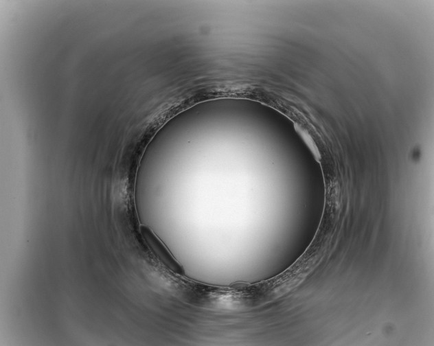X0000099520564200805221446
