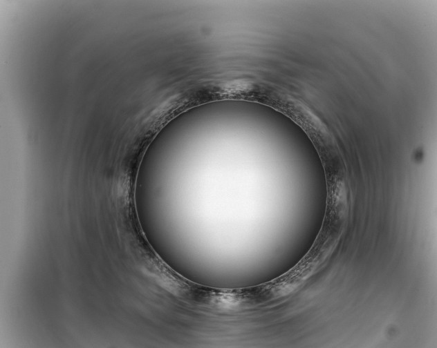 X0000099520565200805221446
