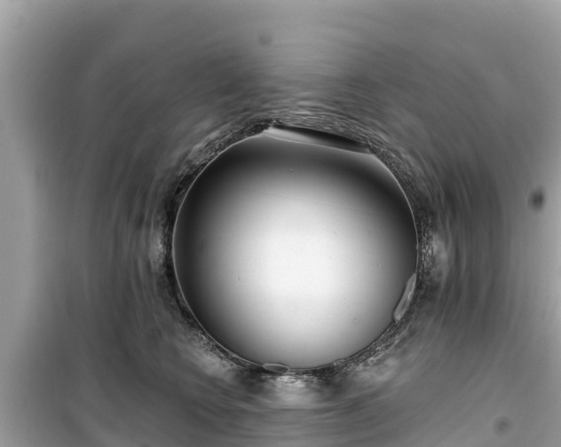 X0000099520566200805221446