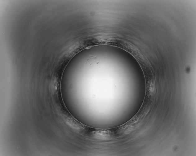 X0000099520567200805221446