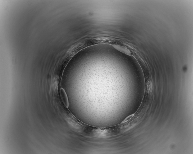 X0000099520570200805221446