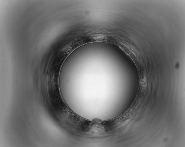X0000099520572200805221446