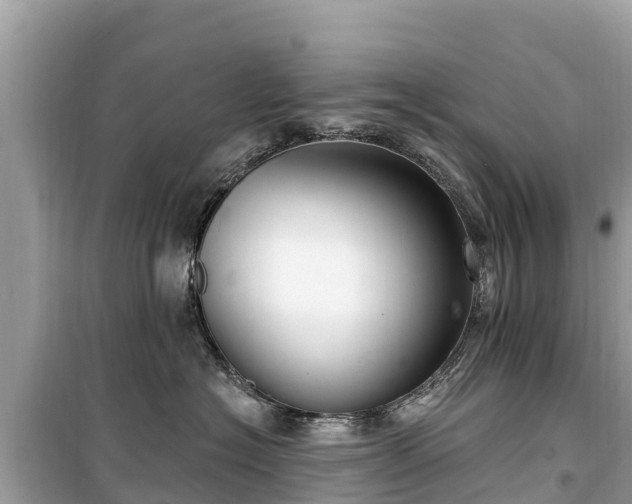 X0000099520574200805221446