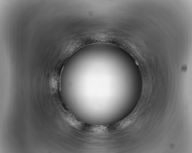 X0000099520576200805221446