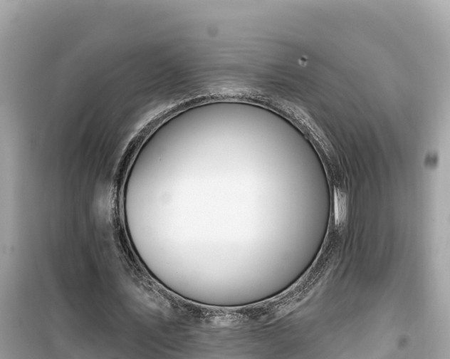 X0000099520579200805221445