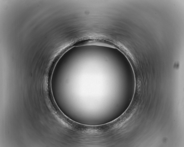 X0000099520581200805221445