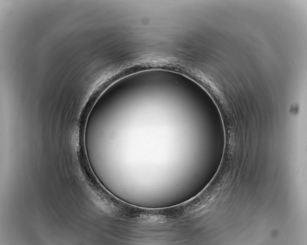 X0000099520582200805221445
