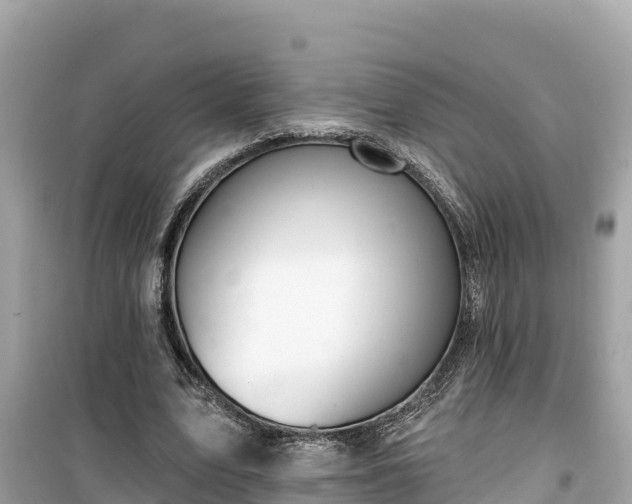 X0000099520583200805221445