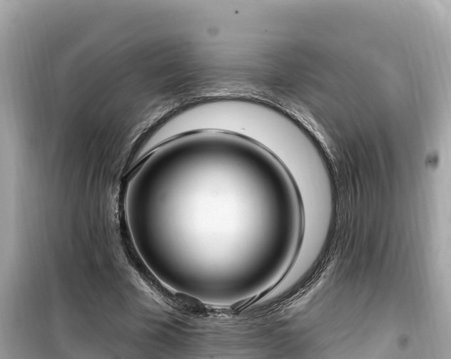 X0000099520585200805221445