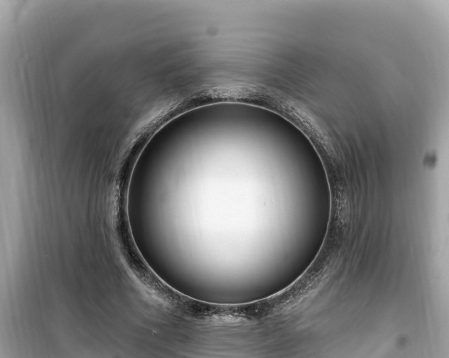 X0000099520586200805221445