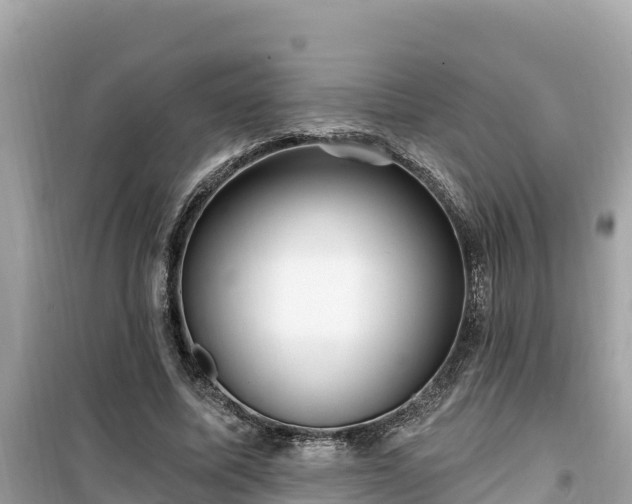 X0000099520587200805221445
