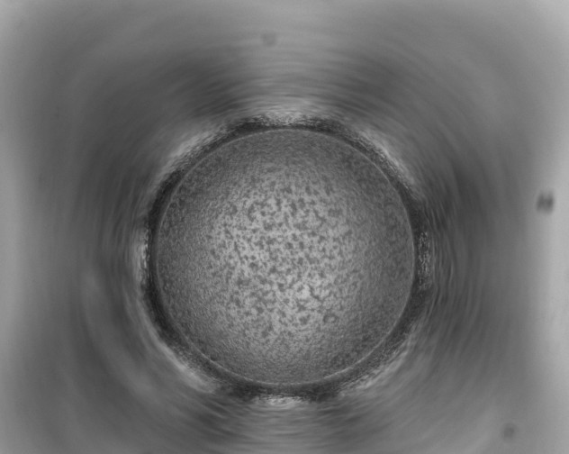 X0000099520590200805221445