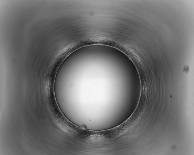X0000099520591200805221445