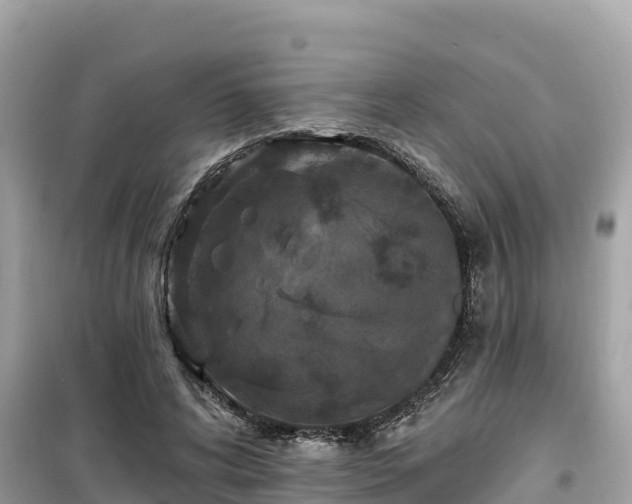 X0000099520592200805221445
