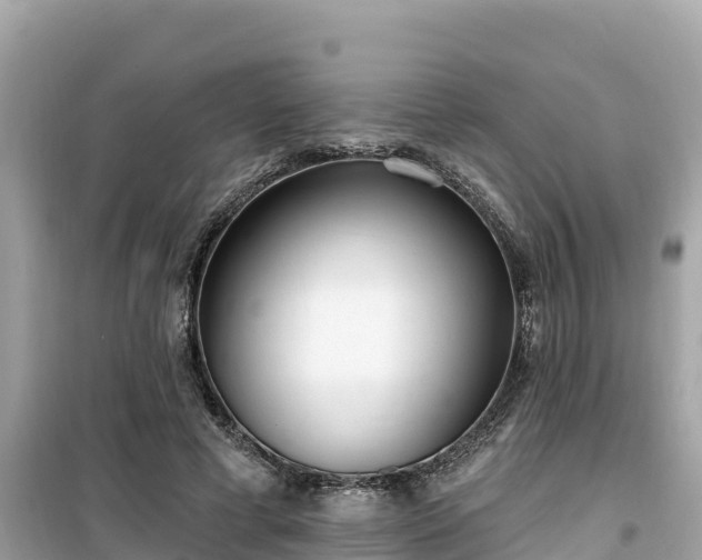 X0000099520593200805221445