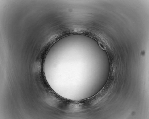 X0000099520595200805221445
