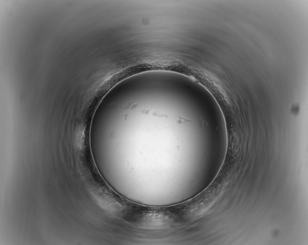 X0000099520596200805221445