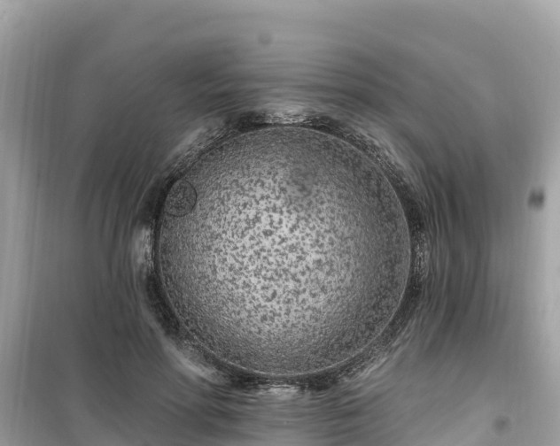 X0000099520598200805221445