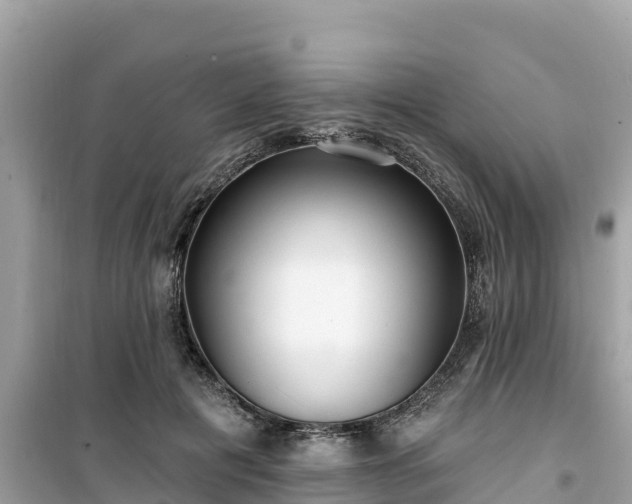 X0000099520601200805221445