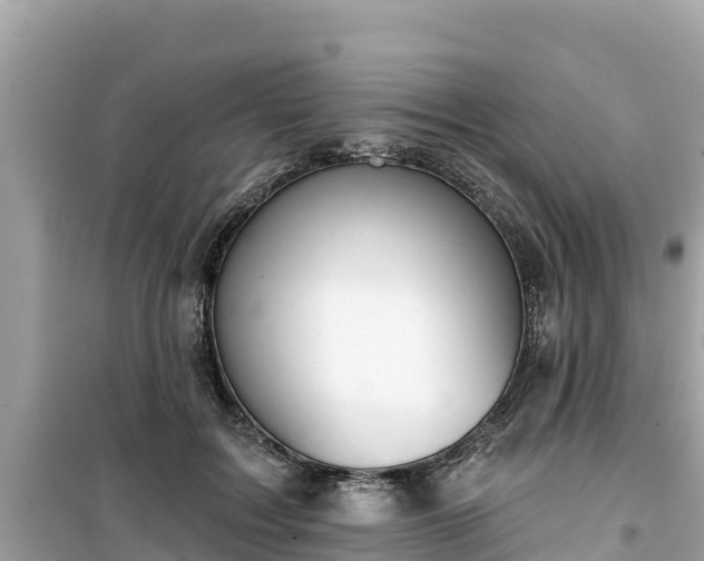 X0000099520603200805221445