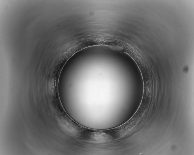 X0000099520605200805221445