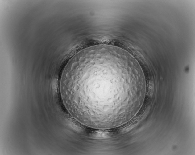 X0000099520612200805221445