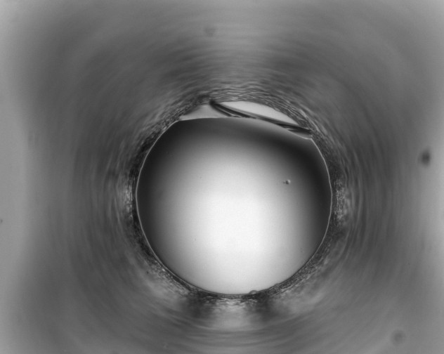 X0000099520613200805221445