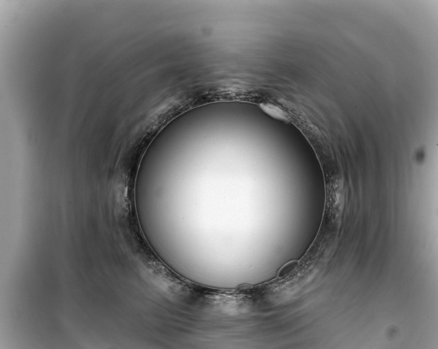 X0000099520615200805221445