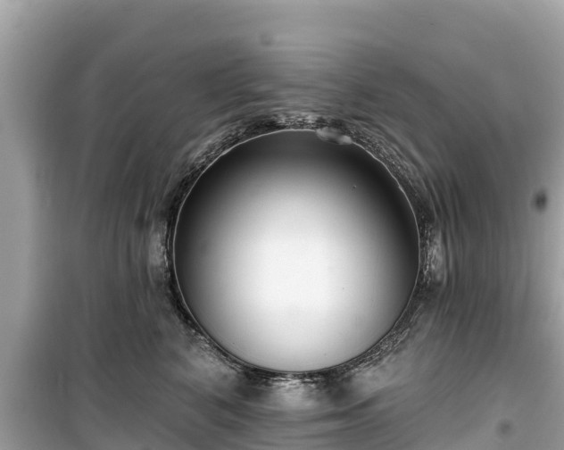 X0000099520616200805221445