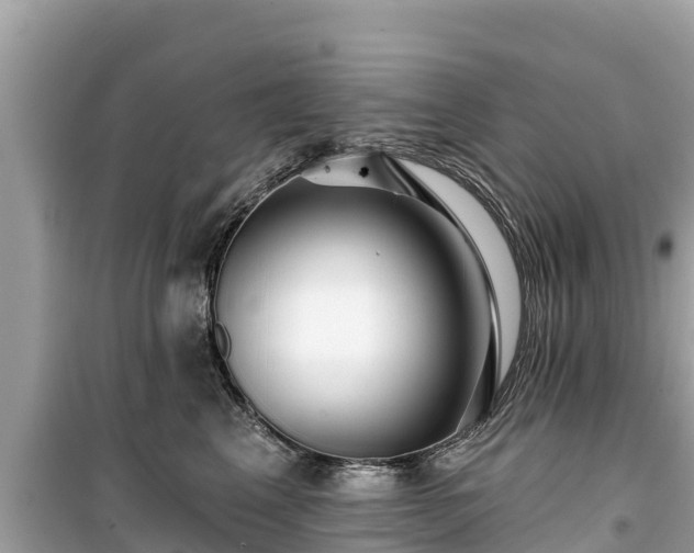X0000099520617200805221445