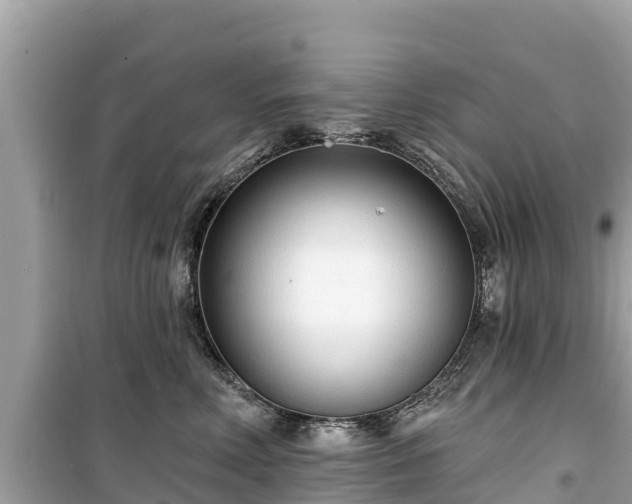 X0000099520618200805221445