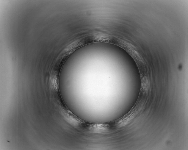 X0000099520622200805221445