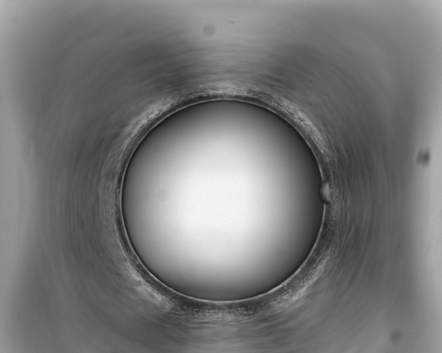 X0000099520625200805221444
