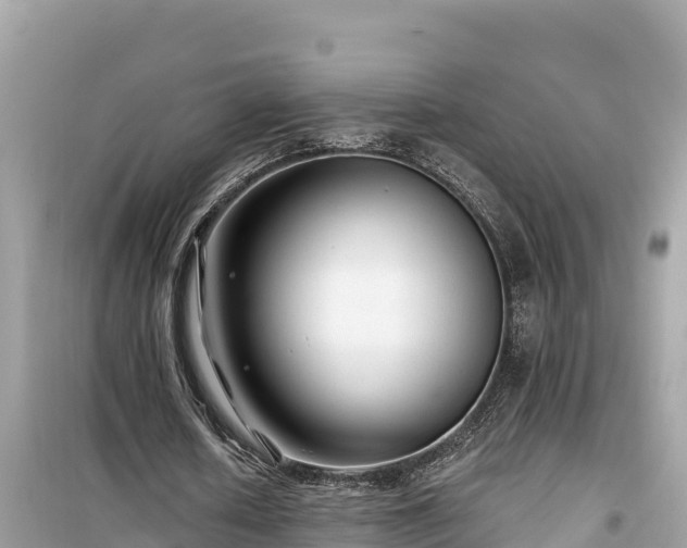 X0000099520626200805221444