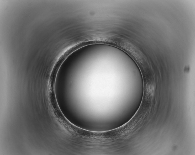 X0000099520628200805221444