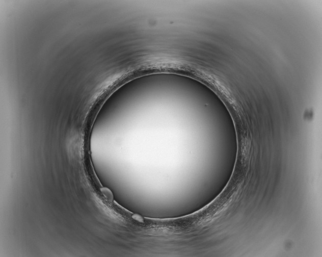 X0000099520629200805221444