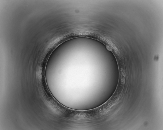 X0000099520631200805221444