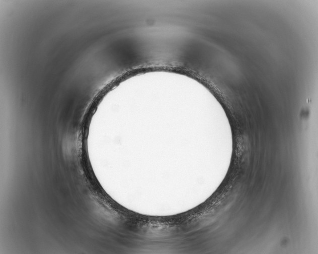X0000099520632200805221444