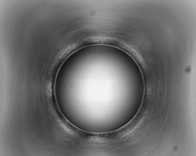 X0000099520633200805221444