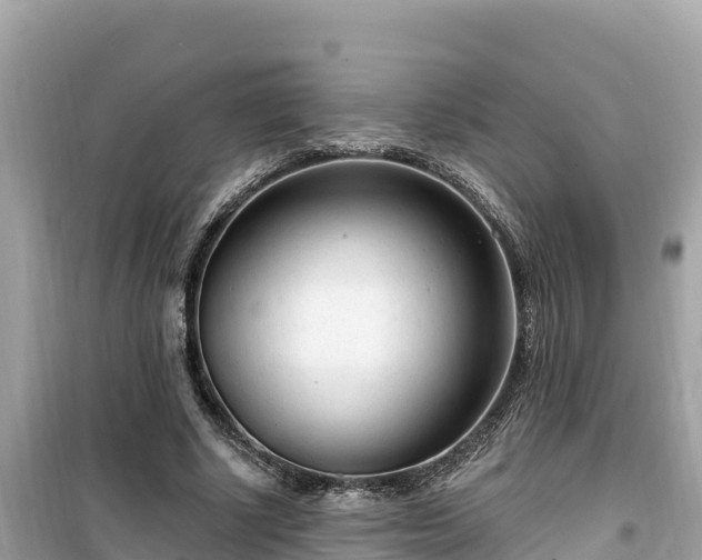 X0000099520634200805221444