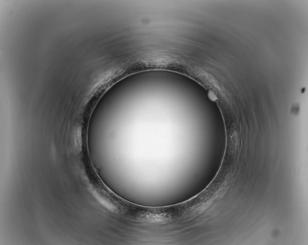 X0000099520638200805221444
