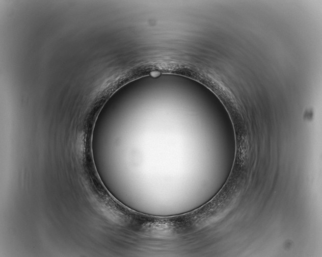 X0000099520639200805221444