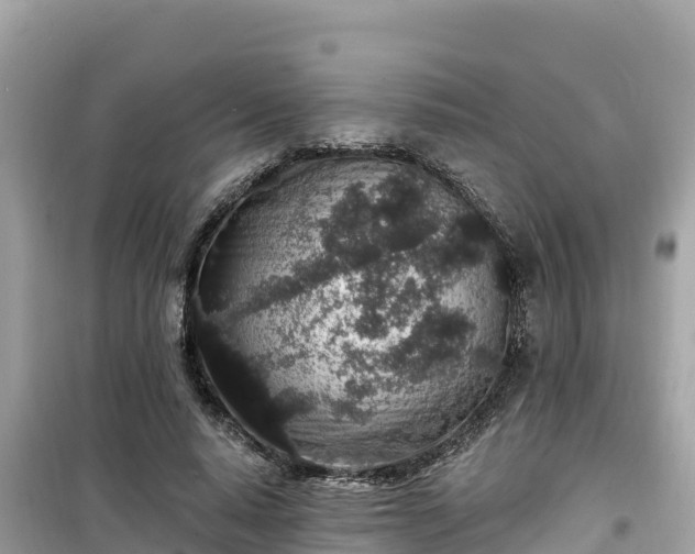 X0000099520640200805221444