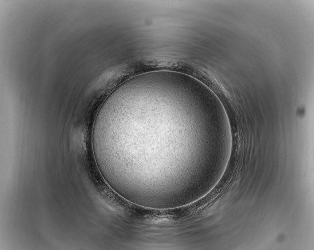 X0000099520643200805221444