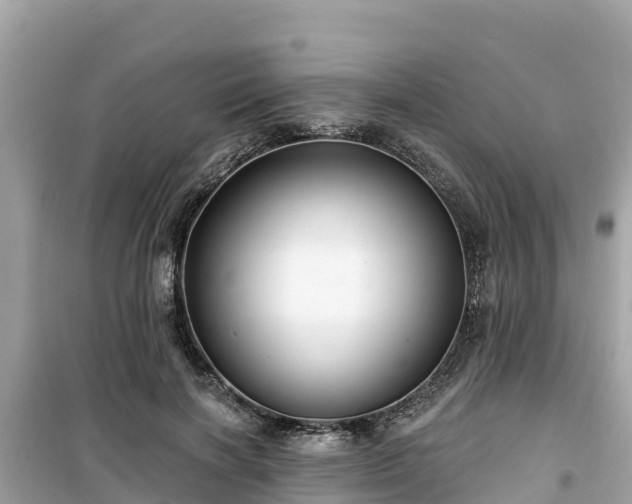 X0000099520646200805221444